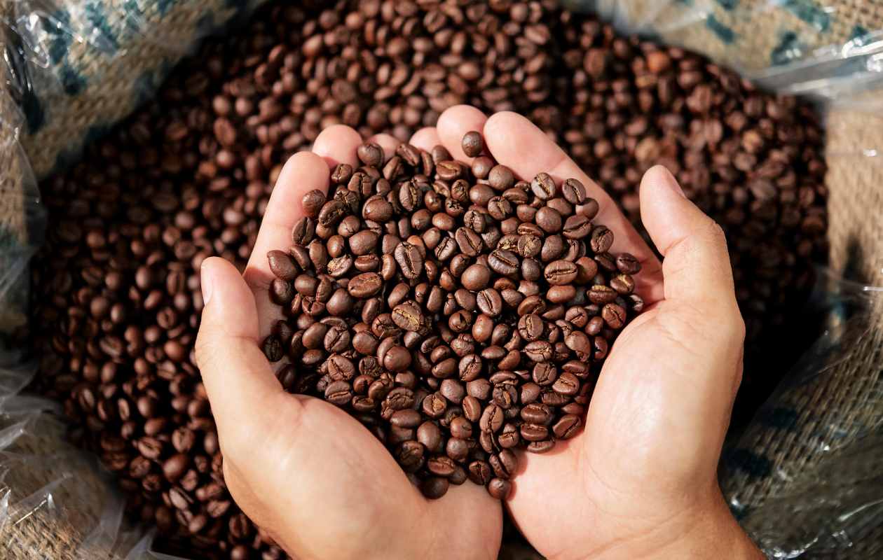 Dos manos sosteniendo un puñado de granos de café recién tostados sobre un saco de yute, ilustrando la frescura de comprar café en grano.