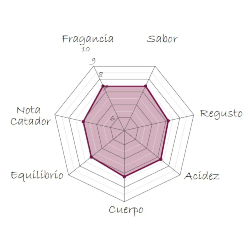 Café de Honduras en grano natural | Finca Los Catadores - Imagen 2