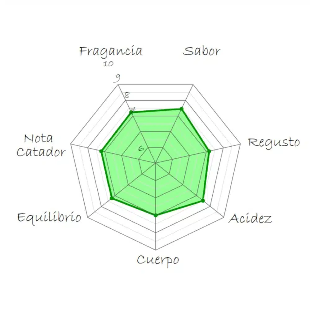 Café de Etiopía en grano natural | Guji Hambela - Imagen 2