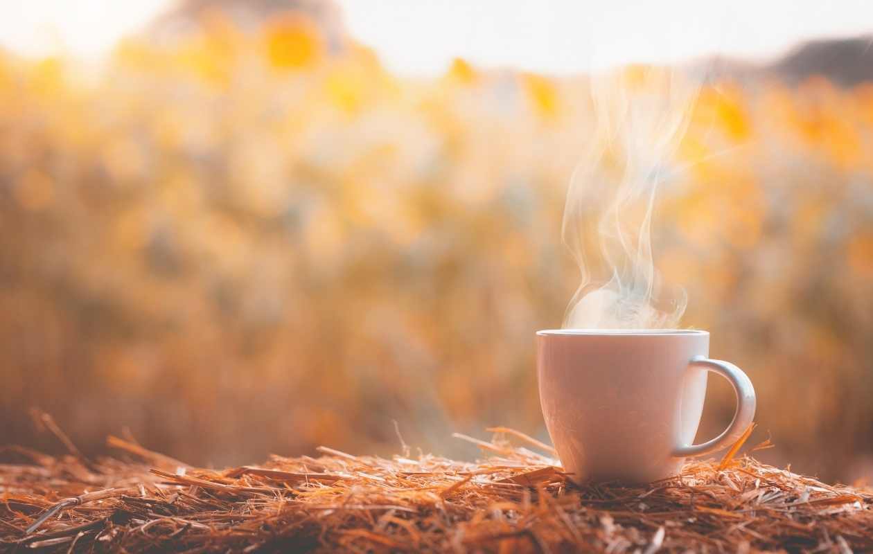 qué significa que un café sea natural