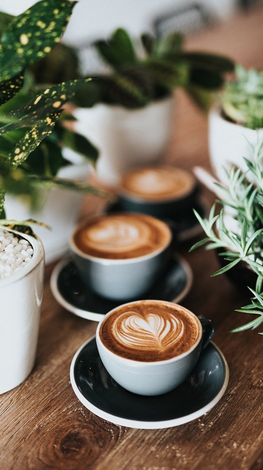 cafe