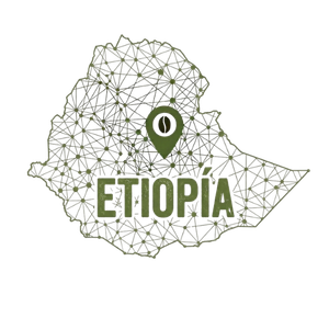 Café de Especialidad Etiopía